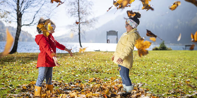 Header - Bild3
