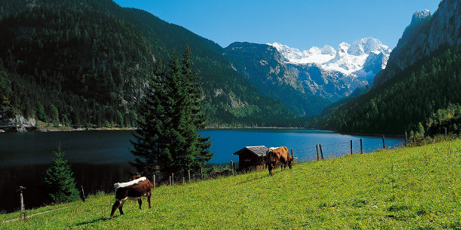 includes/images/header/zellamsee/3-Gosausee-Dachstein-OOE-TourismusMarketing-Heilinger.jpg