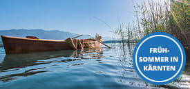 Sommerurlaub am See